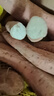 京地达河北哈密冰糖心白蜜薯番薯红薯香甜烤地瓜净重9斤中果源头直发 实拍图