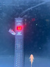 森森（SUNSUN）鱼缸加热棒自动恒温水族箱防爆加热器鱼缸水族用品 三代豪华款200W带保护套(中小型鱼缸) 实拍图