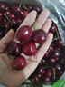 京鲜生 智利进口车厘子J级5斤礼盒 果径约26-28mm 水果年货礼盒 送卡尺 实拍图