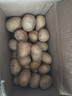 新鲜土豆现挖现发山东正宗黄心黄肉当季新鲜蔬菜马铃薯洋芋薯条 山东土豆带箱9斤 中大果2两起 晒单实拍图