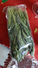大菠菜300g 实拍图