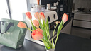 京东鲜花跨晚同款-郁金香鲜花20枝盲盒款（品种随机）源头直发 实拍图