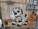 索迪机器狗智能ai机器人婴幼儿童宝宝玩具男女孩生日1-3周2岁新年礼物 实拍图
