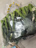 京鲜生（供港基地）芥兰苗250g(长度≤15cm) 实拍图