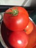 童年味道西红柿约1kg 实拍图