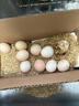 香丹青 林下散养土鸡蛋新鲜农家自养笨鸡蛋食用柴鸡蛋 10枚 实拍图