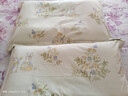 洁丽雅（Grace）枕套A类磨毛100%全棉抗菌面料吸汗枕头套花园小兔一对装 48*74cm  实拍图