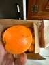 果果牛湖南麻阳冰糖橙 应当季新鲜水果手剥甜橙子高山夏脐血多汁 可选 净重9斤(单果60mm以下)实惠 实拍图