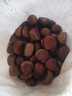 丹东新鲜板栗生栗子当季5斤现摘毛油栗子嫩板栗锥栗整箱生鲜蔬 5斤 【严选大果】净重4.5斤 实拍图