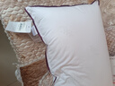 水星家纺枕头枕芯酒店枕头护颈枕头芯家用单个纯棉抗菌可水洗高枕48x74cm 实拍图