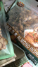 三只松鼠手剥巴旦木500g/袋装 坚果炒货干果扁核桃杏仁零食送礼  实拍图