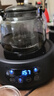 茗光煮茶壶电陶炉煮茶器蒸煮一体茶壶烧水煮茶炉养生壶2025年新款 实拍图