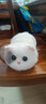 WALULU陪伴智能机器人AI情感毛绒玩具潮流礼物猫咪电子宠物 白色 晒单实拍图