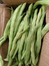 农家四季豆新鲜现摘云南长扁豆角农家应当季蔬菜芸豆现摘菜豆 新鲜四季豆3斤带箱 实拍图