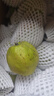 京鲜生 新疆库尔勒香梨 净重10斤 特级 单果120g以上 生鲜水果 实拍图