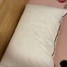 水星家纺枕头枕芯酒店枕头护颈枕头芯家用一对纯棉抗菌可水洗中枕48x74cm 实拍图