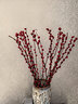 九月生银柳20支新年装饰年宵花卉鲜切枝真花摆件干花春节乔迁礼物60cm 实拍图