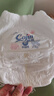 茵茵（cojin）丝薄呵护拉拉裤XL84片(12kg-17kg)纸尿裤男女宝宝专用夜用尿不湿 实拍图