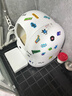 小佩智能自动猫砂盆猫厕所MAX2电动铲屎机一键换砂除臭(支持鸿蒙智联) 【全新可视】MaxPro2-可视AI识别 实拍图
