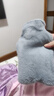 热水袋暖水袋注水大姨妈热敷暖肚子灌水暖手宝冲水暖手袋大号暖脚 珊瑚灰1000ml【配长毛绒套】 实拍图