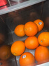 美国进口新奇士3107黑标脐橙Sunkist进口橙子甜橙单果170-210克 10个大果 实拍图