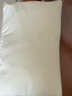 京东京造 经典荞荞枕 100%荞麦壳填充透气高度可调花草枕头枕芯单只装 实拍图