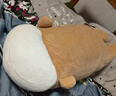 名创优品（MINISO）趴姿系大号趣味狗狗公仔玩偶玩具抱枕靠枕娃娃生日礼物女 卡其色 实拍图