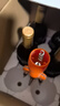 奜拉德酒庄法国原酒进口干红葡萄酒年货送礼14度750ml 莱森奥干红2支+手提袋 实拍图