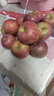 志褚 云南昭通丑苹果 冰糖心苹果 高山脆甜苹果新鲜水果 团购年货礼盒 3斤 小果【60mm-65mm】 实拍图