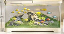 阔庭（KUOTING）鱼缸桌面透明生态鱼缸客厅水族箱白色 实拍图
