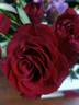 芊芊细语斗南基地直批发玫瑰鲜花全国速递配送女友礼物家用水养插花家庭 顺丰发货20支随机玫瑰+送20支随机玫瑰 实拍图