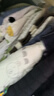 嘟嘟家儿童背心加厚秋冬过年红色男童马甲冬季保暖童装女童棉服马夹上衣 卡其色 110 实拍图