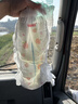 好奇（Huggies）铂金装小桃裤成长裤XXL74片(15kg以上)尿不湿【透爽散热】 实拍图