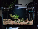 创宁鱼缸石英加热棒 CN-605-500W 低水位乌龟小型迷你自动恒温器 实拍图