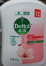 滴露（Dettol）洗手液抑菌杀菌消毒滋润500g+500g 补充装儿童家庭护手替换 实拍图
