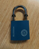 梅花（BLOSSOM）挂锁 铜芯铁锁 室内外大门锁50MM蓝色BC2950 实拍图