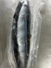 深海秋刀鱼 新鲜海捕船冻锁鲜无冰日式料理海鲜烧烤食材 生鲜鱼类 海捕秋刀鱼1斤（5-7条/斤） 实拍图