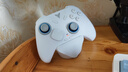 飞智冰原狼4多模版无线游戏手柄 类xbox 力调节摇杆双切扳机 switch电脑PC手机steam体感NS 丝之歌 实拍图