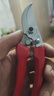爱丽斯（ARS）日本爱丽斯剪枝剪刀进口修枝剪ARS 130DX果树剪刀 树剪剪子爱丽丝 130DX【红色】+弹簧 实拍图