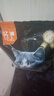 亿迪 猫粮幼猫成猫10斤全价国产布偶流浪猫蓝猫英短全阶段专用 实拍图