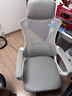 锦汐 电脑椅家用办公椅子靠背人体工学椅学习转椅老板座椅游戏电竞椅 【可后躺】白框灰网 实拍图