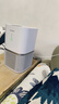 UORRIS【全球热销60W+】德国欧瑞氏空气净化器除甲醛去烟味除tvoc新房急入住桌面家用除异味过敏鼻炎哮喘 月光白|专研3滤芯|母婴级全效净化 【三重滤芯】除醛分解变色丨除敏灭菌丨除异味烟味 实拍图