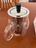 金灶（KAMJOVE）泡茶壶飘逸杯 耐热玻璃茶具功夫办公室花茶壶 茶水分离杯茶壶家用 A-19加长滤篮 750ml 实拍图