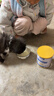 新宠之康 宠物羊奶粉400g狗狗猫咪成幼犬猫泰迪金毛羊奶粉营养补充 实拍图