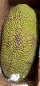 京鲜生 海南菠萝蜜22-27斤  净重22斤+ 生鲜水果 源头直发 实拍图