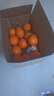 渝奉顺丰正宗重庆奉节脐橙薄皮大果现摘孕妇水果新鲜当季10斤20甜橙子 【大果80-85】纽荷尔/推荐款 带箱子20斤 实拍图