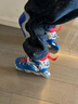 斯威（SWAY）轮滑鞋儿童溜冰鞋男女童初学套装中小学滑轮滑冰旱冰鞋成人直排轮 波蓝八轮全闪+头盔护具+一体支架 S (适合3-5岁)平时鞋码25-30 实拍图
