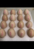 德青源PLUS联名款A+级鲜鸡蛋32枚2.74斤无抗生素 源头直发 1件包邮 实拍图