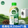 滴露（Dettol）洗衣机清洗剂250ml金装版松木洗衣机清洁除菌液消毒杀菌清洁剂 实拍图