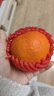 京鲜生 四川爱媛38号果冻橙 净重5斤 单果150g起 生鲜柑橘桔子水果礼盒 实拍图